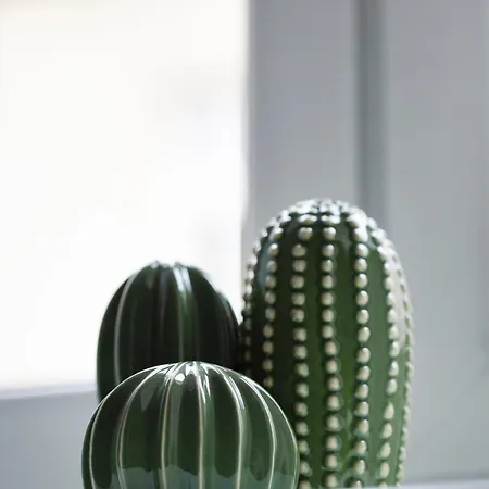 아파트 Anta Warszawska 크라쿠프